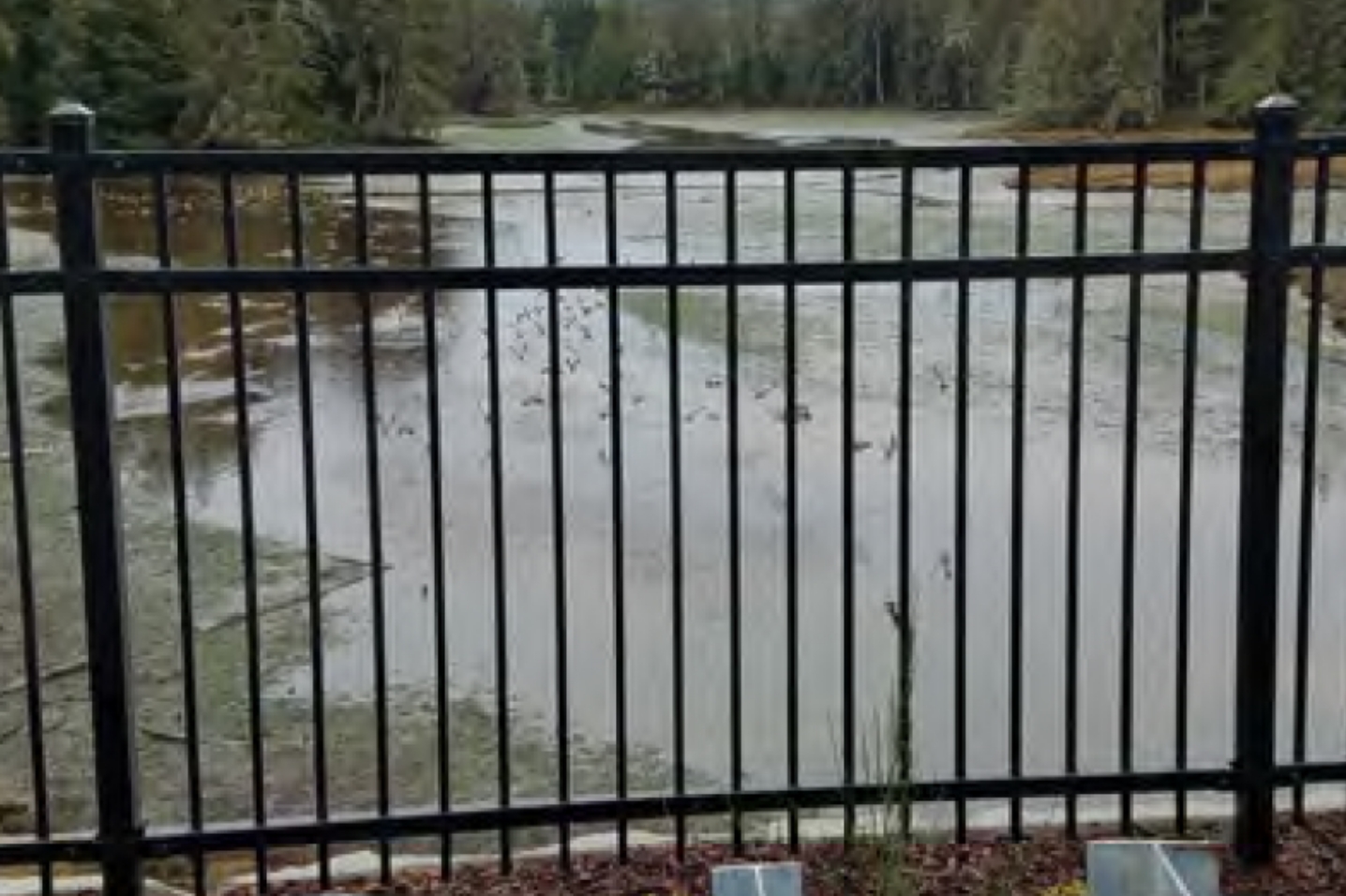 King County Salmon Recovery Project/Carpenter Creek Bridge Case Study