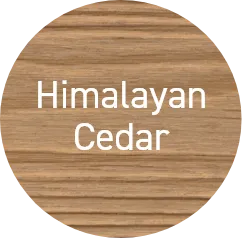 Himalayan Ceder