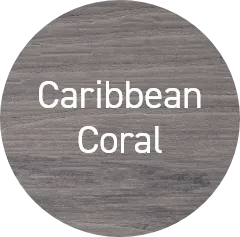 Caribbean Coral
