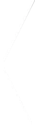 left slider arrow