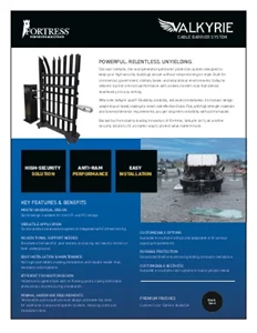 Valkyrie Sales Sheet