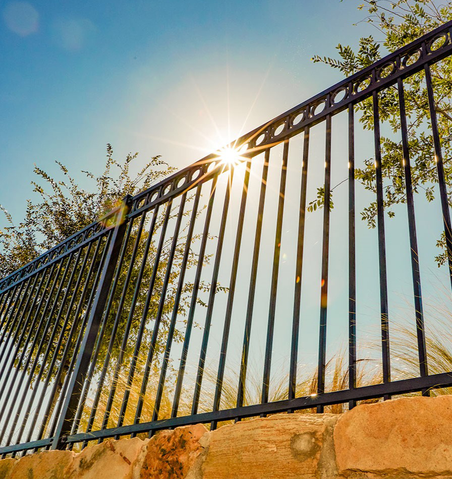 Sun shining through a decorative steel fence.
