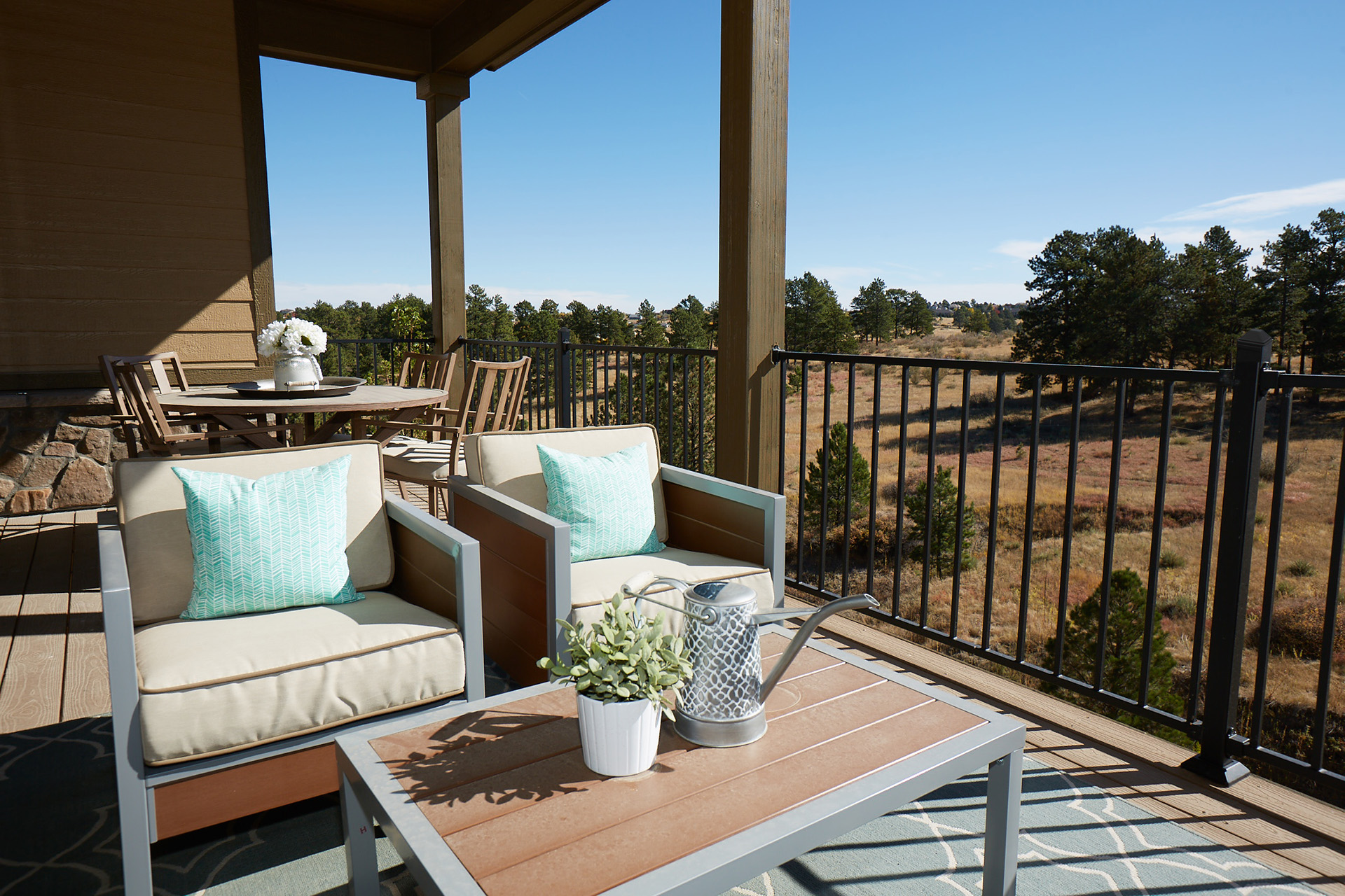 Durable steel deck railing provides safety and a view of the outdoors.