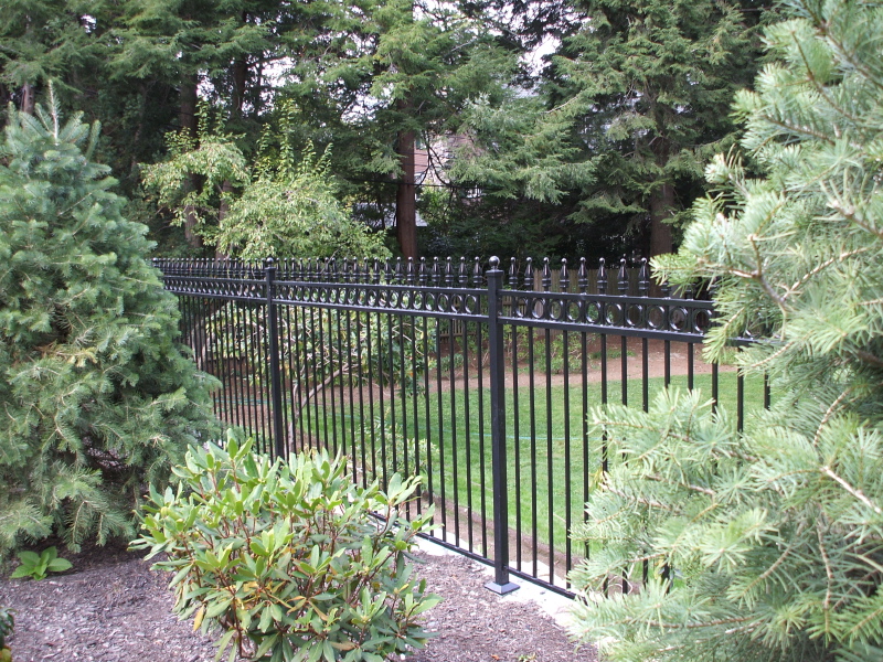 A black wrought iron fence stands in front of a tree, showcasing residential aluminum and steel fencing options.